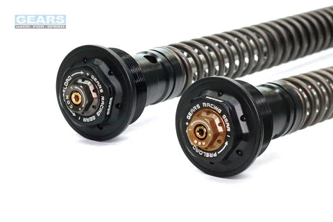 YAMAHA YZF R15 V3 (18~20)/R15 V4/R15 M (21~)/MT15 (19~21)/MT15 V2 (22~) With ABS Front Fork Cartridge Inverted-Forks ( FFC-250-TT ) - Wadamart