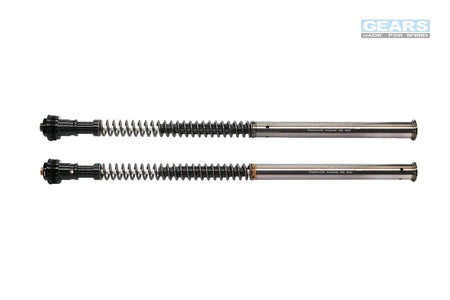 TRIUMPH Scrambler 400 X (24~) Front Fork Cartridge Inverted-Forks ( FFC-250-TT ) - Wadamart