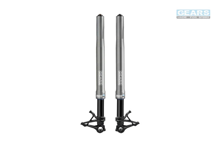 DUCATI Monster797 Front Fork Cartridge Inverted-Forks ( FFC-250-TT ) - Wadamart