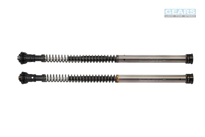 HUSQVARNA VITPILEN/SVARTPILEN 250 (19~21) Front Fork Cartridge Inverted-Forks ( FFC-250-TT ) - Wadamart