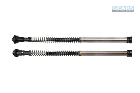 HUSQVARNA VITPILEN/SVARTPILEN 250 (21~) CHN Front Fork Cartridge Inverted-Forks ( FFC-250-TT ) - Wadamart