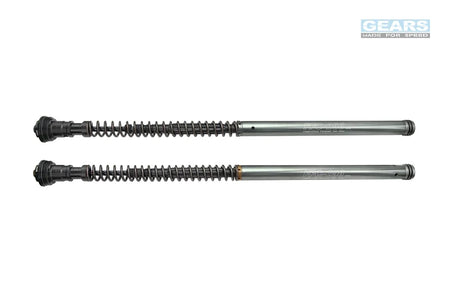 CFMOTO 450SR (23~)/450SR S (24~) Front Fork Cartridge Inverted-Forks ( FFC-250-TT ) - Wadamart