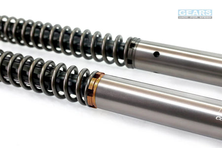 YAMAHA YZF R15 V3 (18~20)/R15 V4/R15 M (21~)/MT15 (19~21)/MT15 V2 (22~) With ABS Front Fork Cartridge Inverted-Forks ( FFC-250-TT ) - Wadamart