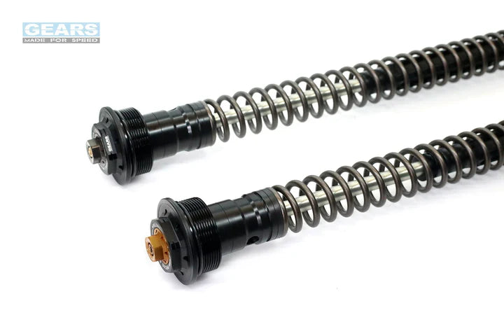 YAMAHA YZF R15 V3 (18~20)/R15 V4/R15 M (21~)/MT15 (19~21)/MT15 V2 (22~) With ABS Front Fork Cartridge Inverted-Forks ( FFC-250-TT ) - Wadamart