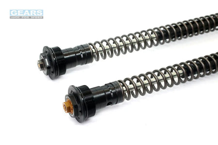 APRILIA TUONO 660 (21~) Front Fork Cartridge Inverted-Forks ( FFC-250-TT ) - Wadamart