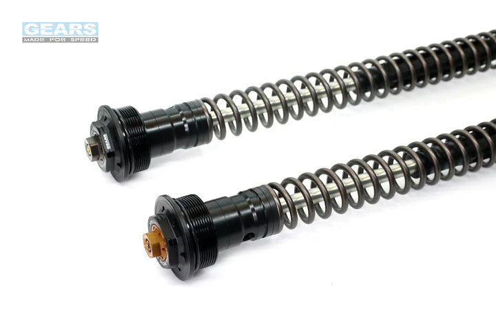 KAWASAKI Z900 RS (18~) Front Fork Cartridge Inverted-Forks ( FFC-250-T ) - Wadamart