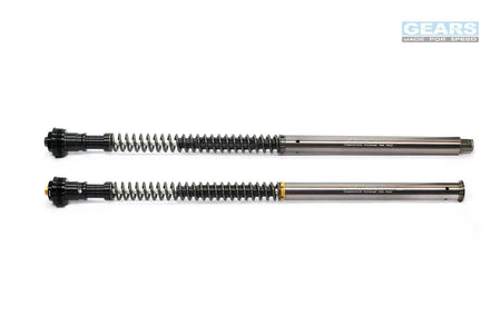 YAMAHA YZF R15 V3 (18~20)/R15 V4/R15 M (21~)/MT15 (19~21)/MT15 V2 (22~) With ABS Front Fork Cartridge Inverted-Forks ( FFC-250-TT ) - Wadamart