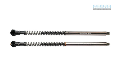 TRIUMPH Bonneville T100 (16~) Front Fork Cartridge Conventional-Forks ( FFC-250-T ) - Wadamart