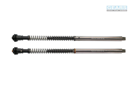 KAWASAKI Z900 (17~) Front Fork Cartridge Inverted-Forks ( FFC-250-TT ) - Wadamart