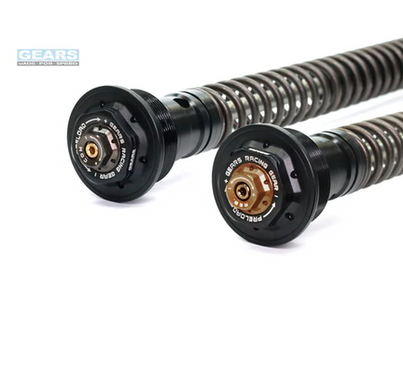 TRIUMPH Bonneville Bobber Black (18~)/Speed Master (19~) Front Fork Cartridge Conventional-Forks ( FFC-250-T ) - Wadamart