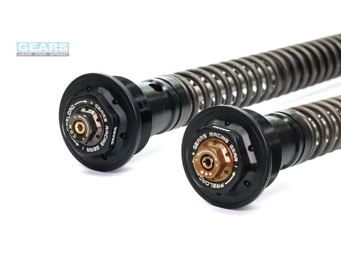 HUSQVARNA VITPILEN/SVARTPILEN 250 (22~) Front Fork Cartridge Inverted-Forks ( FFC-250-TT ) - Wadamart