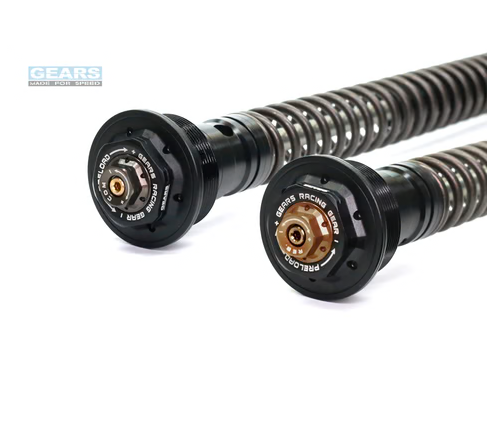 YAMAHA YZF R25/R3/MT25 (15~19) Front Fork Cartridge Conventional-Forks ( FFC-250-T )
