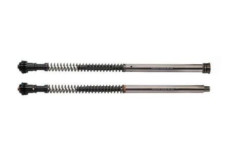 APRILIA TUONO 660 (21~) Front Fork Cartridge Inverted-Forks ( FFC-250-TT ) - Wadamart