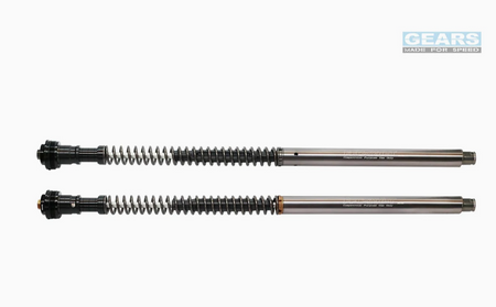 HONDA CBR650R/CB650R (21~23) FFC-250-TT Front Fork Cartridge Inverted Forks - Wadamart