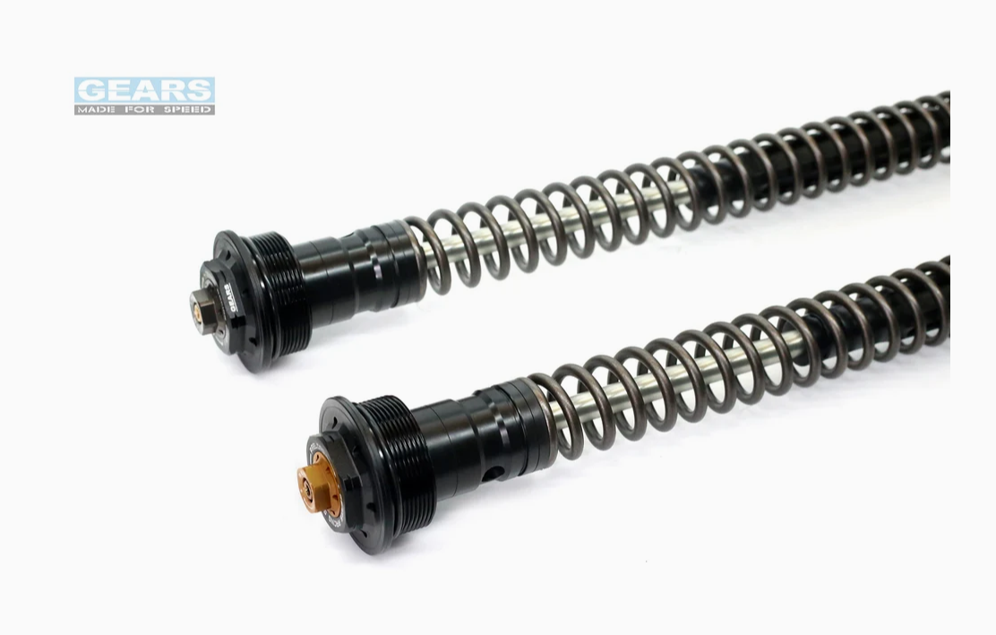 HONDA REBEL 500 (19~)/REBEL 500S (22~) FFC-250-T Front Fork Cartridge Conventional Forks - Wadamart